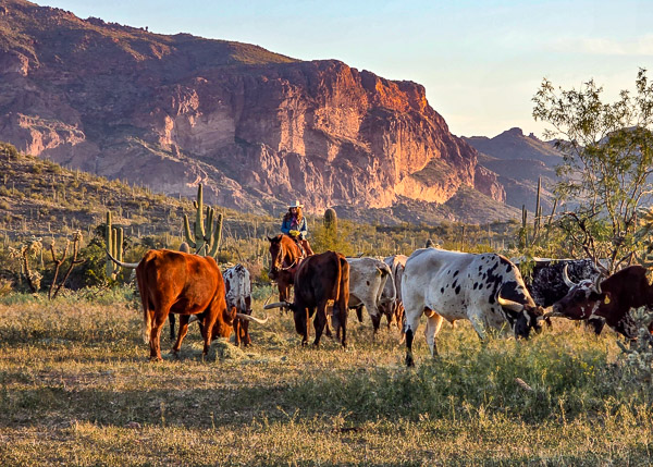 Don Donnelly's D-spur Ranch and Stables